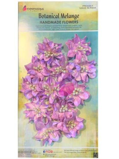  Gardenia Mini Purple